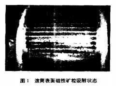 攀枝花釩鈦磁鐵礦磁性特征和選礦現(xiàn)狀